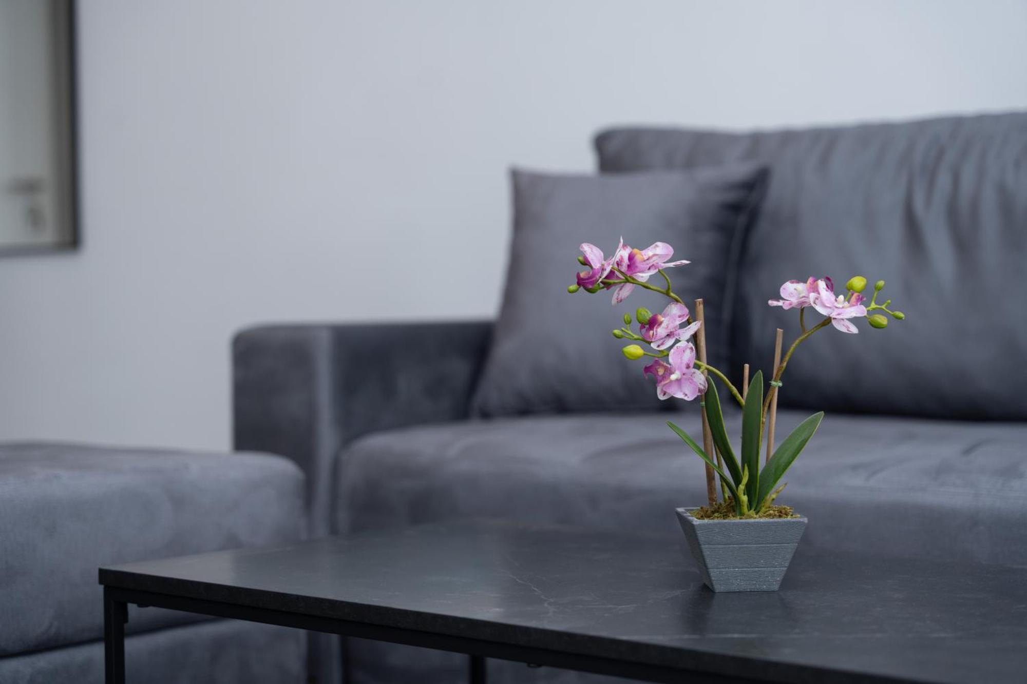 Azzurro City SJJ Eksteriør bilde